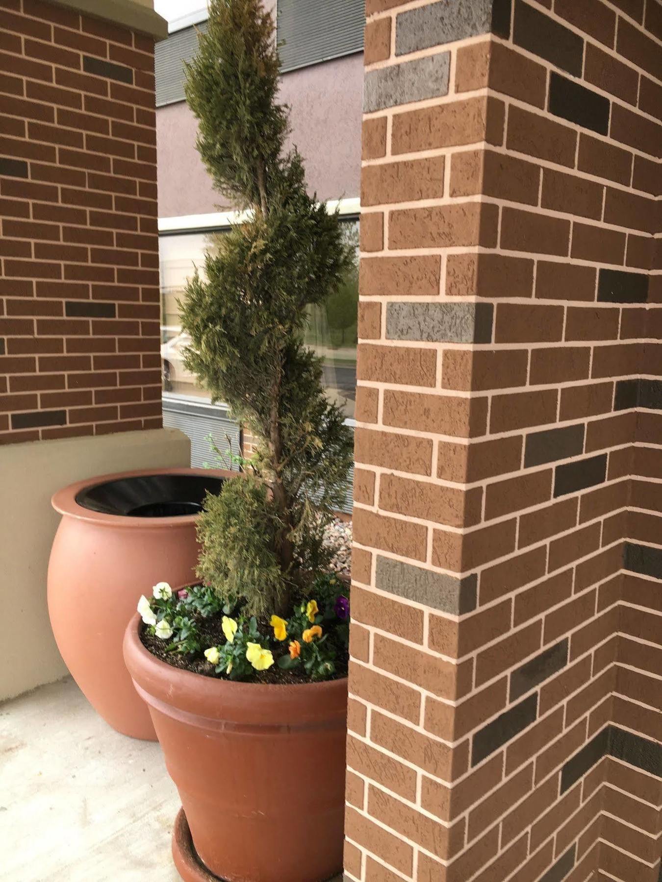 Hampton Inn Joliet/I-80 Exterior photo